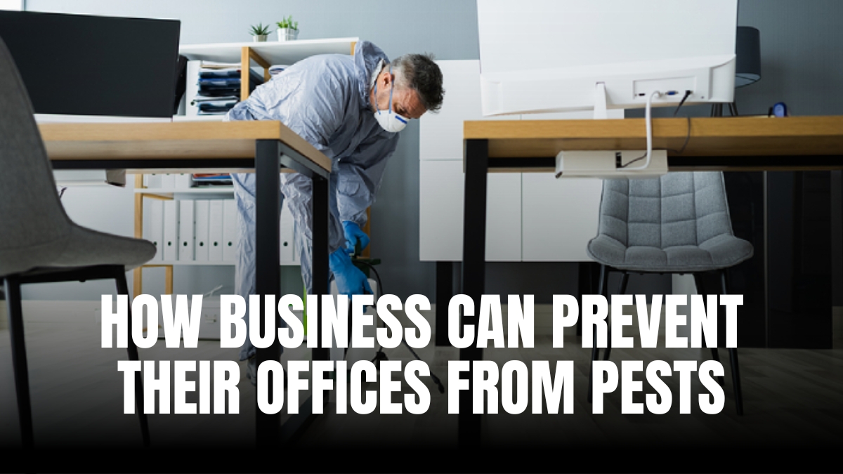 How Business Can Prevent Their Offices from Pests