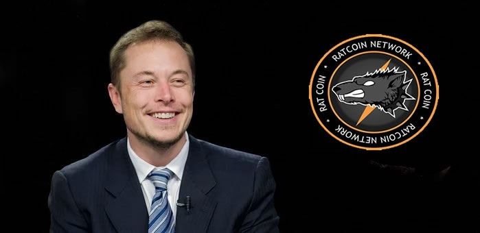 Who Owns RatCoin: Is It Really Elon Musk Or Someone Else?
