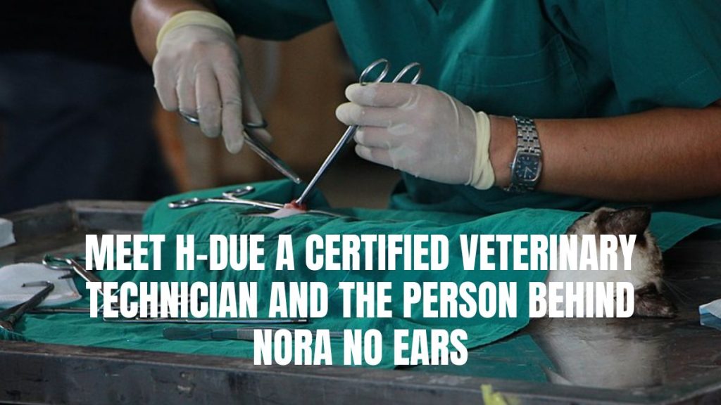 Meet H Due: A Certified Veterinary Technician and the Person behind @Nora.no.ears