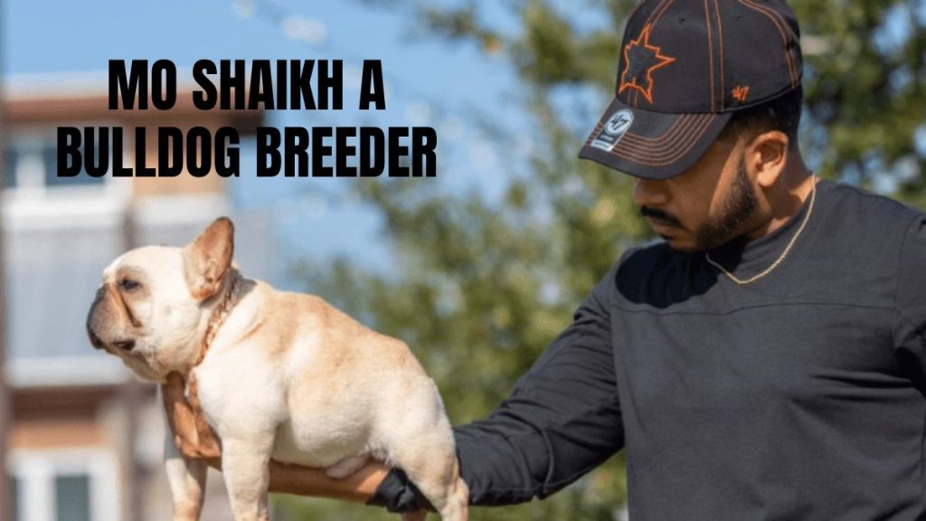 Meet Mo Shaikh, a Bulldog Breeder and Content Creator, Who is Spearheading Texas-based Top Dog Breeding and Cellular Retail Businesses