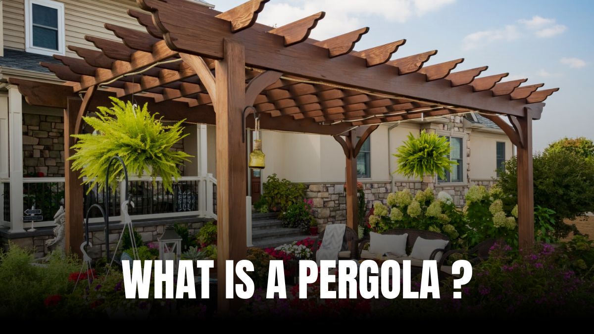 What Is A Pergola? How Does It Beautify Your Space?