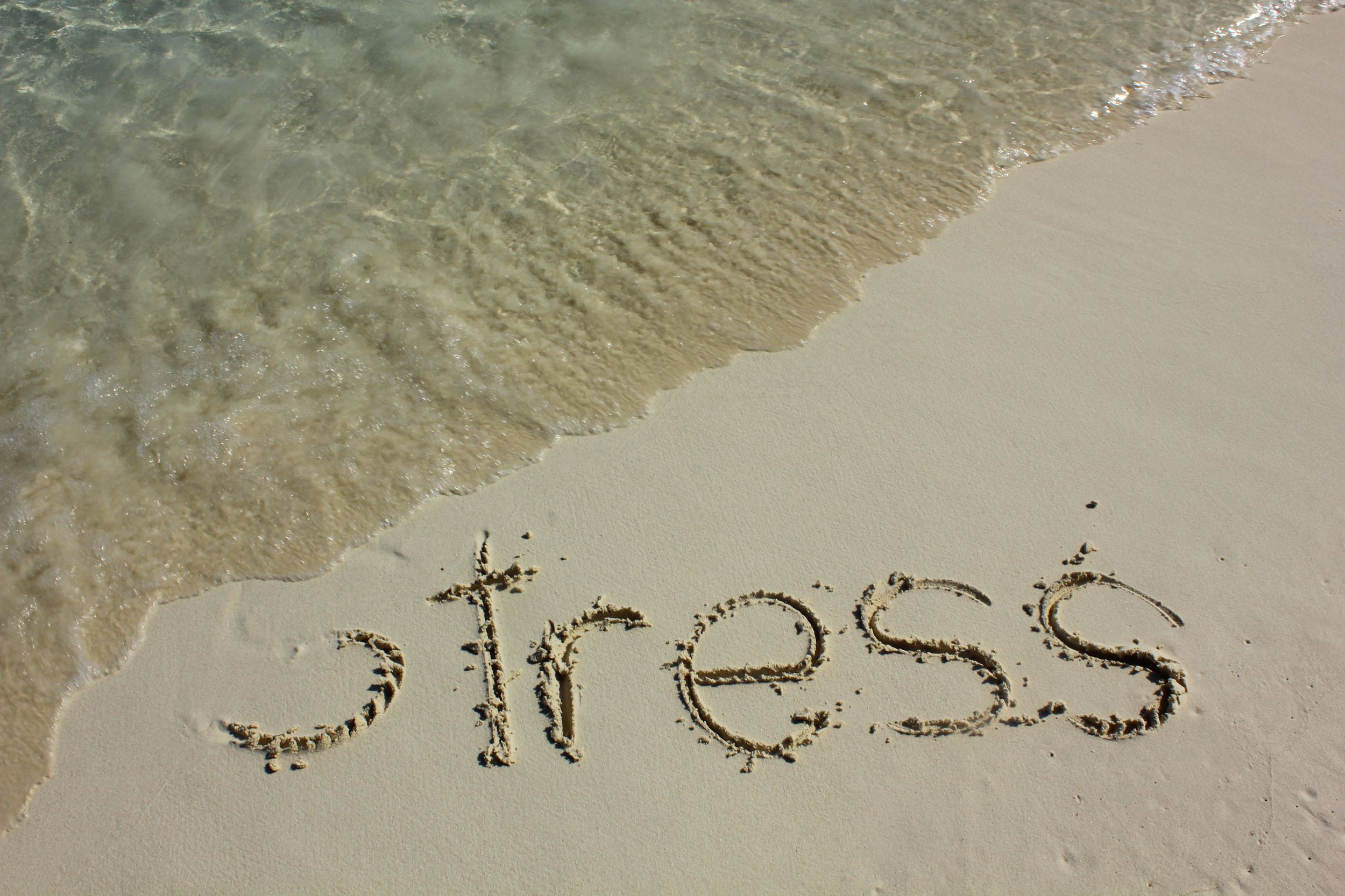 Five Ways to Reduce Stress in Your Life