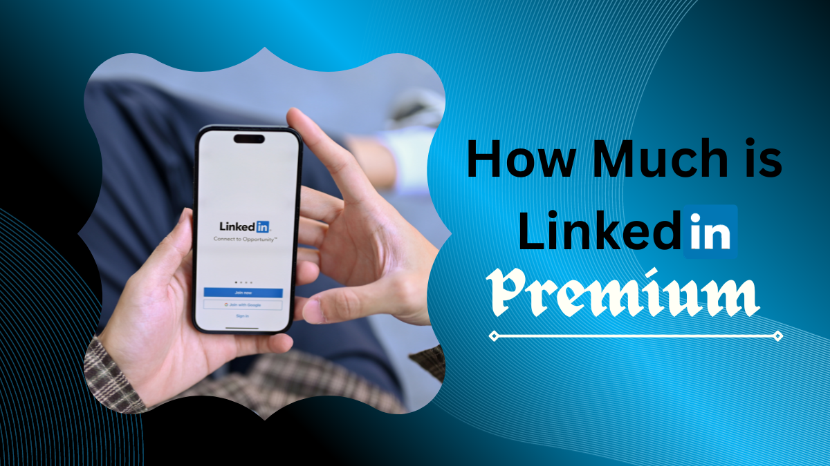 Linkedin Basic And Premium: How Much Is Linkedin Premium?